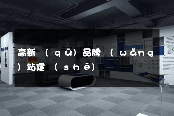 高新區(qū)品牌網(wǎng)站建設(shè)