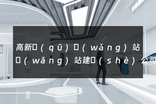 高新區(qū)網(wǎng)站網(wǎng)站建設(shè)公司