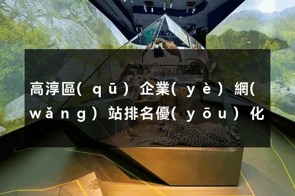 高淳區(qū)企業(yè)網(wǎng)站排名優(yōu)化