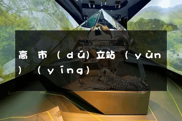 高郵市獨(dú)立站運(yùn)營(yíng)