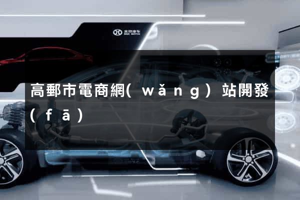 高郵市電商網(wǎng)站開發(fā)