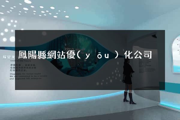鳳陽縣網站優(yōu)化公司