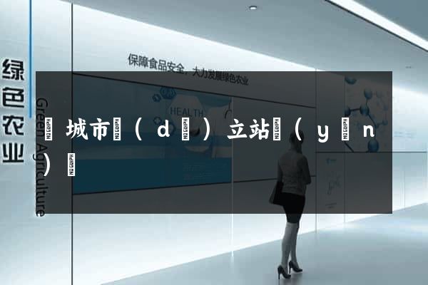 鹽城市獨(dú)立站運(yùn)營