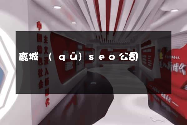 鹿城區(qū)seo公司