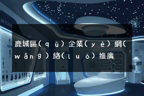 鹿城區(qū)企業(yè)網(wǎng)絡(luò)推廣