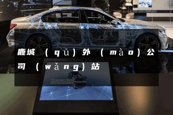 鹿城區(qū)外貿(mào)公司網(wǎng)站