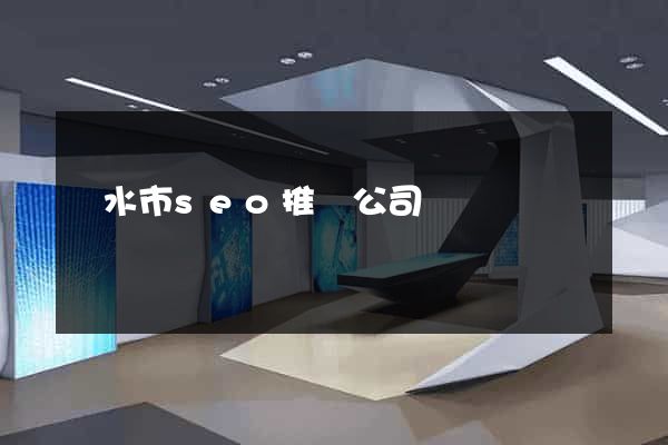 麗水市seo推廣公司