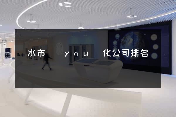 麗水市優(yōu)化公司排名