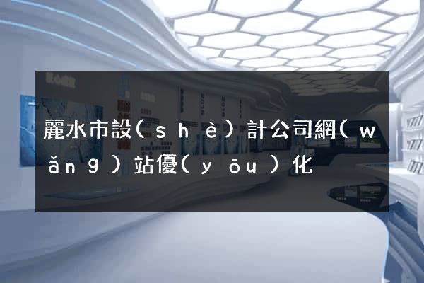麗水市設(shè)計公司網(wǎng)站優(yōu)化