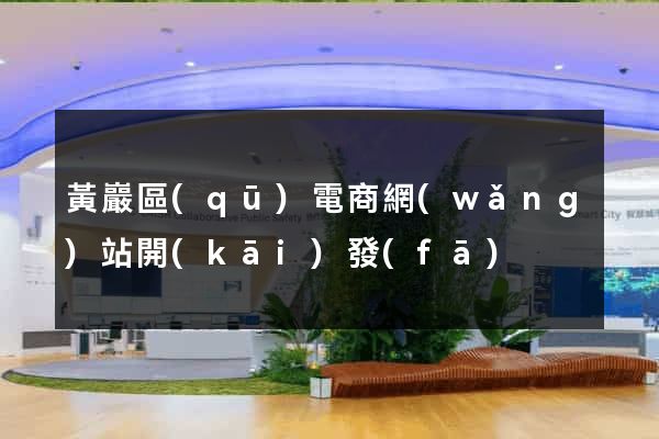 黃巖區(qū)電商網(wǎng)站開(kāi)發(fā)
