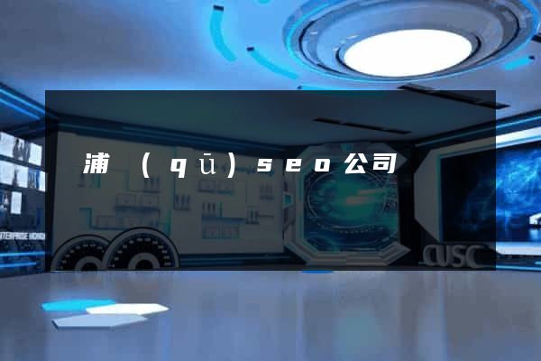 黃浦區(qū)seo公司