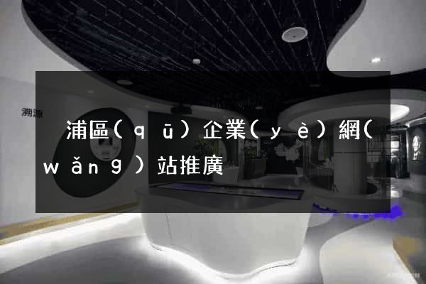 黃浦區(qū)企業(yè)網(wǎng)站推廣
