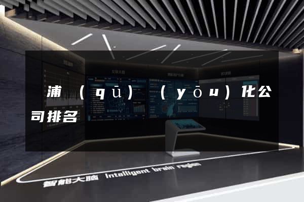 黃浦區(qū)優(yōu)化公司排名