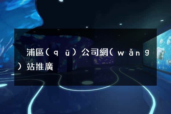 黃浦區(qū)公司網(wǎng)站推廣