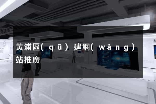 黃浦區(qū)建網(wǎng)站推廣