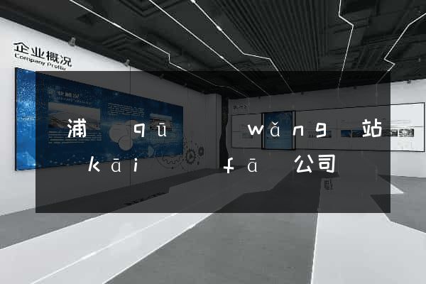 黃浦區(qū)網(wǎng)站開(kāi)發(fā)公司