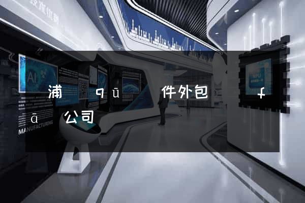 黃浦區(qū)軟件外包開發(fā)公司