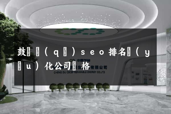 鼓樓區(qū)seo排名優(yōu)化公司價格