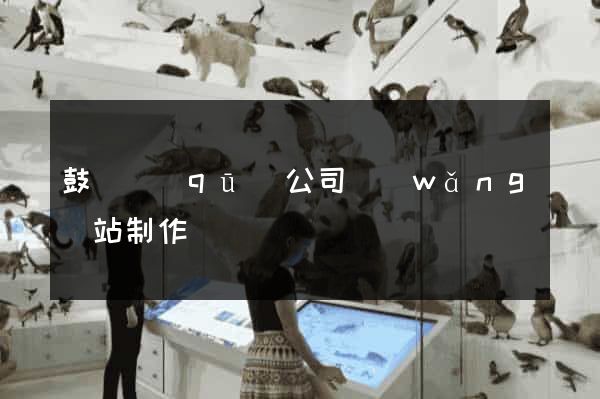 鼓樓區(qū)公司網(wǎng)站制作
