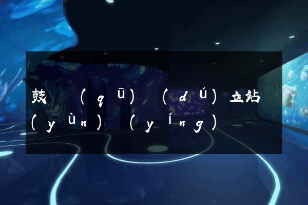 鼓樓區(qū)獨(dú)立站運(yùn)營(yíng)