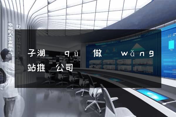 龍子湖區(qū)做網(wǎng)站推廣公司