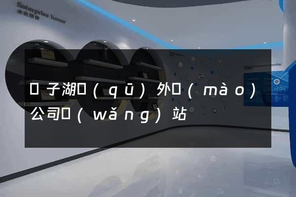 龍子湖區(qū)外貿(mào)公司網(wǎng)站