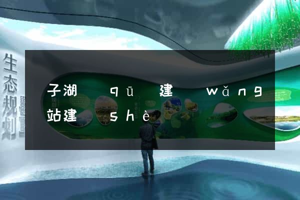 龍子湖區(qū)建網(wǎng)站建設(shè)