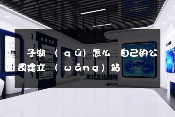 龍子湖區(qū)怎么給自己的公司建立網(wǎng)站