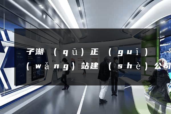 龍子湖區(qū)正規(guī)網(wǎng)站建設(shè)公司