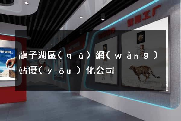 龍子湖區(qū)網(wǎng)站優(yōu)化公司