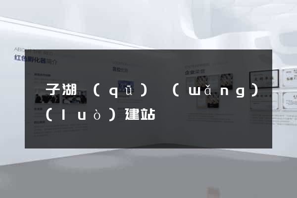 龍子湖區(qū)網(wǎng)絡(luò)建站