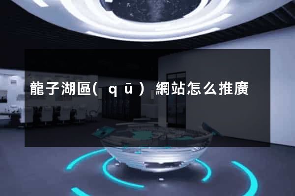 龍子湖區(qū)網站怎么推廣