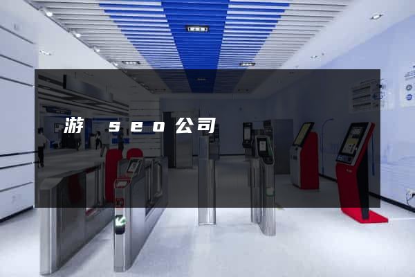 龍游縣seo公司