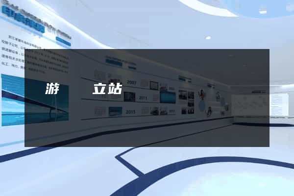 龍游縣獨立站運營