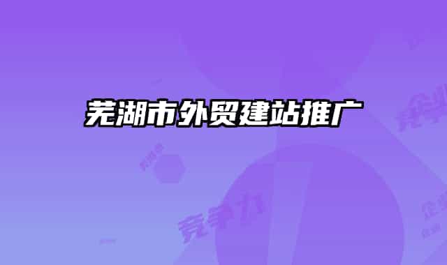 蕪湖市外貿(mào)建站推廣