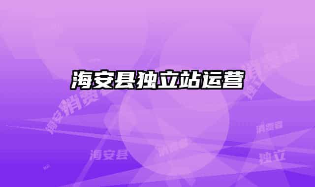 海安縣獨立站運營