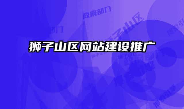 獅子山區(qū)網(wǎng)站建設(shè)推廣
