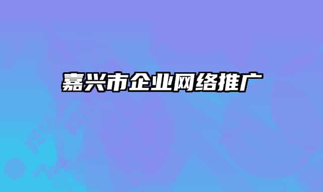 嘉興市企業(yè)網(wǎng)絡(luò)推廣