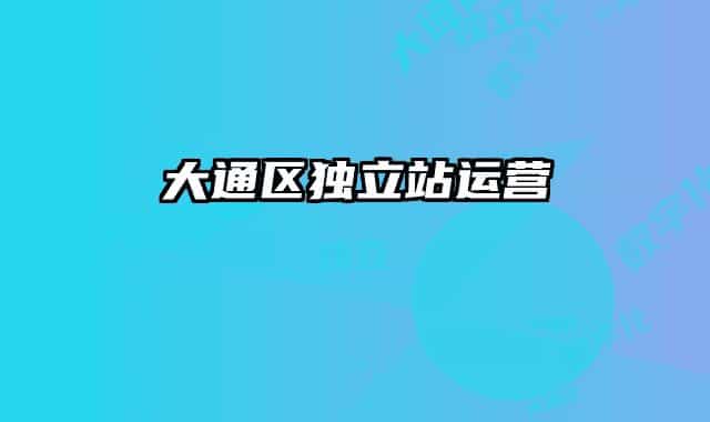 大通區(qū)獨(dú)立站運(yùn)營(yíng)