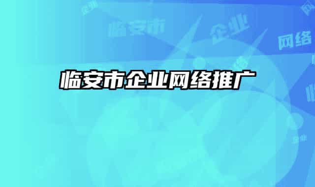 臨安市企業(yè)網(wǎng)絡(luò)推廣