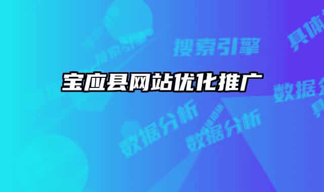 寶應縣網站優(yōu)化推廣