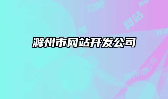 滁州市網(wǎng)站開發(fā)公司