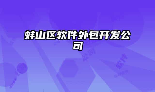 蚌山區(qū)軟件外包開發(fā)公司