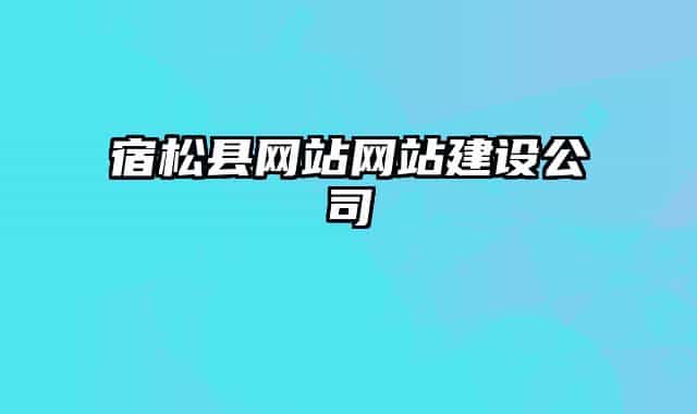 宿松縣網(wǎng)站網(wǎng)站建設(shè)公司