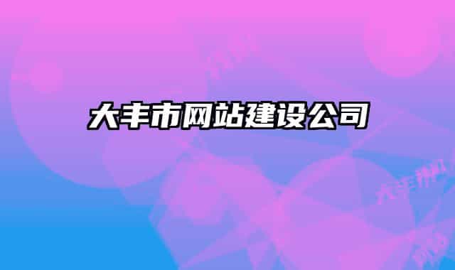 大豐市網(wǎng)站建設公司