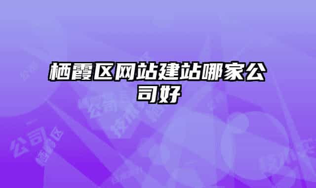 棲霞區(qū)網站建站哪家公司好