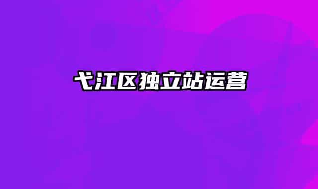 弋江區(qū)獨(dú)立站運(yùn)營(yíng)