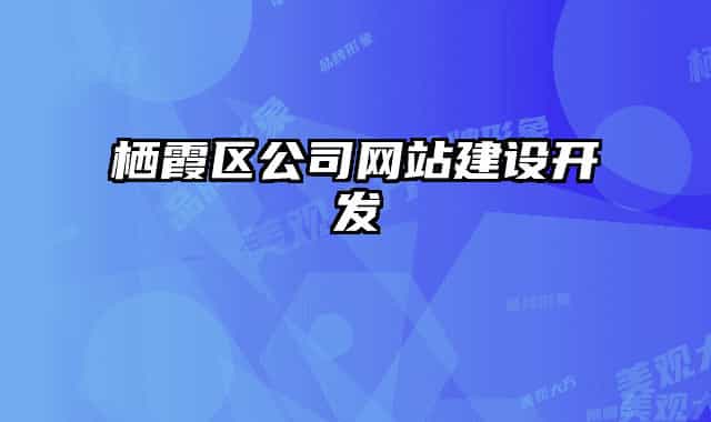 棲霞區(qū)公司網(wǎng)站建設開發(fā)
