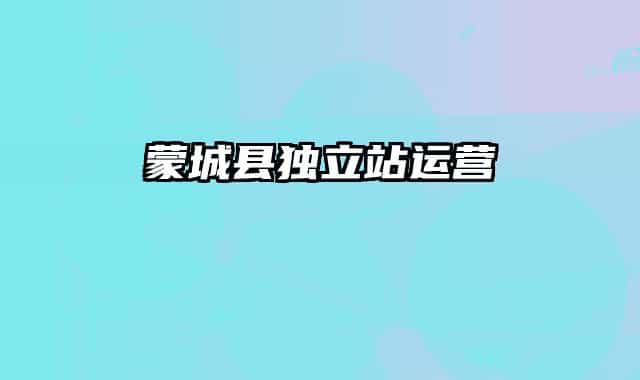 蒙城縣獨(dú)立站運(yùn)營(yíng)
