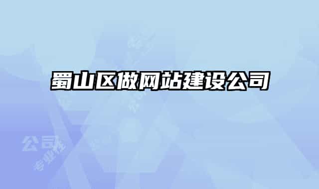 蜀山區(qū)做網(wǎng)站建設公司